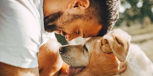 10 of the Most Loyal Dog Breeds Who Will Always Be by Your Side