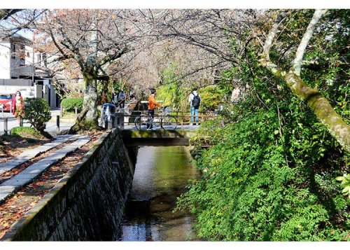 Bicycle Tours Across Kyoto are the Best
