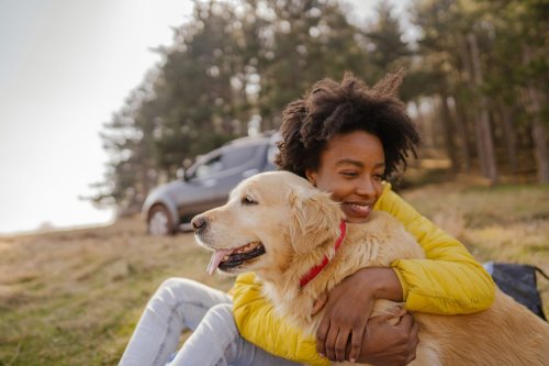 The Life-Changing Benefits of Owning a Pet