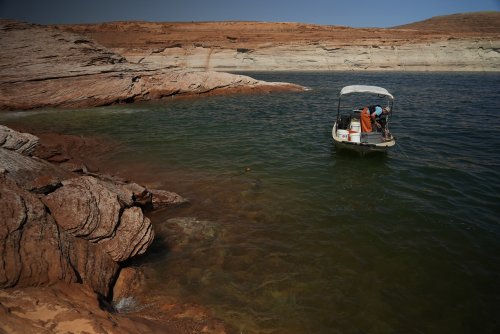 Biologists' fears confirmed on the lower Colorado River