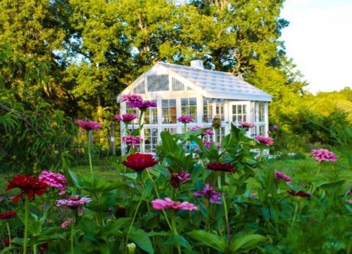 10 DIY Greenhouse Plans for Building Shelter for Your Plants on a Budget