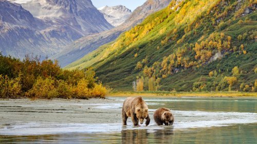 Magazine - U.S NATIONAL PARKS