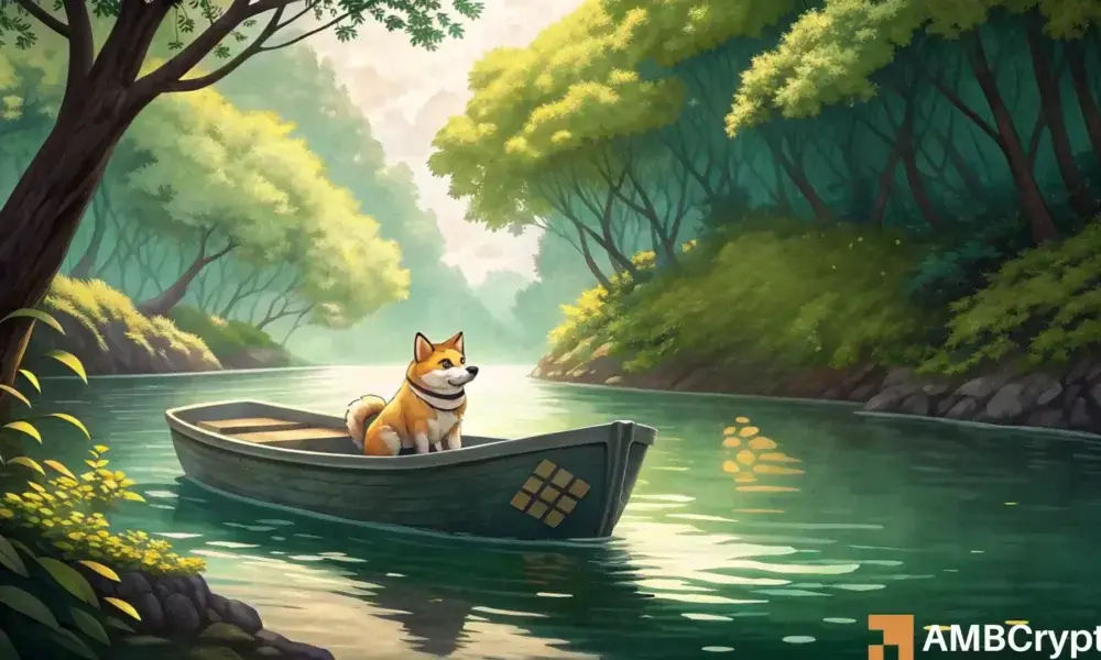 Shiba Inu price prediction!