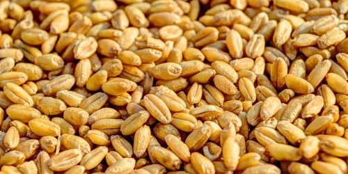 The Grain Dole: How Ancient Rome's vital public welfare system was weaponised