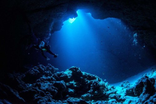 Scientists Just Found the Deepest-Dwelling Fish on Earth!