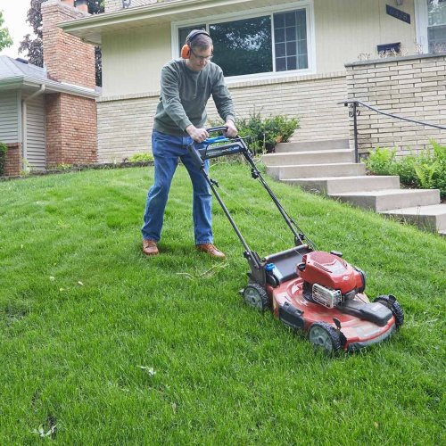 When Is the Best Time of Day To Mow the Lawn?