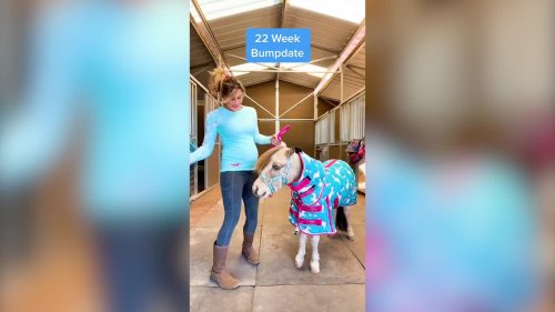 Woman creates matching outfits for miniature horses and their owners