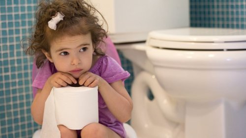 Toilet Culture: Fascinating Facts About Using the Loo