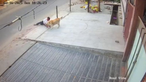 India: Pedestrian falls victim to daylight robbery as biker flees with gold, leaving him collapsed on roadside