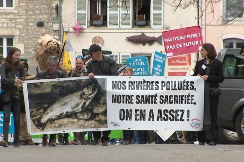 Magazine - ANIMAUX