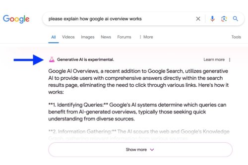 Should we really trust Google's AI Overviews? Let's dive into it