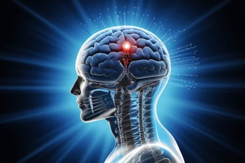 Magazine - neuroscience
