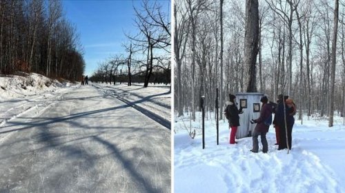 Ce verger près de Montréal cache un sentier glacé de 2 km avec un jeu d’énigmes