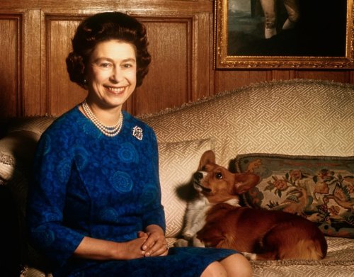 The Best Facts About The Queen You Probably Didn't Know