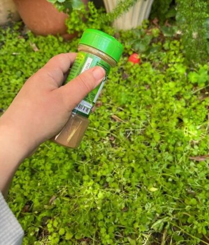 Got extra cinnamon in the kitchen? Here's how you can use it in your garden