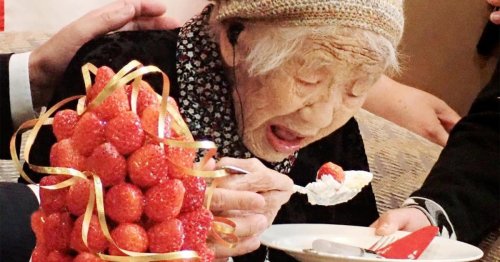Longevity