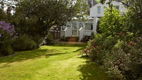 Garden Advice: Grass seed 101