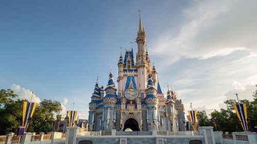 Adults Behaving Badly At Walt Disney World