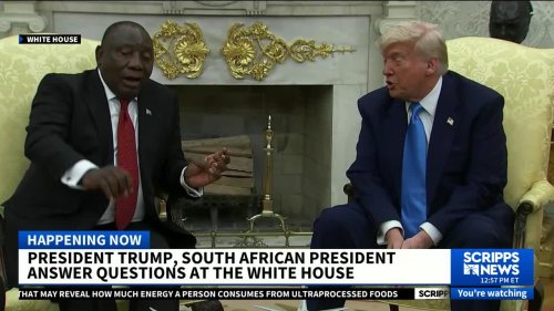 Trump confronts president of South Africa over 'killing of white farmers'