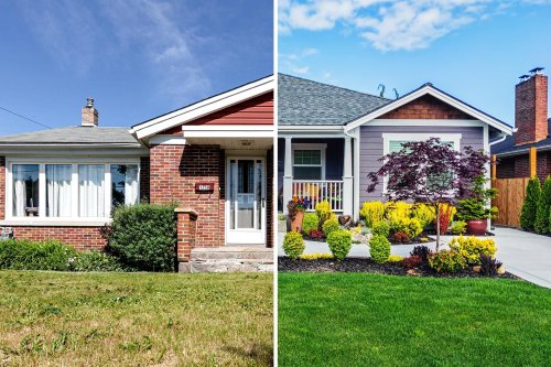 Quick Guide: Your Lawn’s Summer Comeback