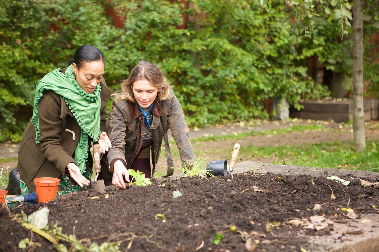 Everything You Need to Do Now to Prep Your Garden for Next Spring