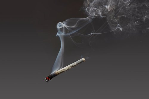 Scientists reveal the cognitive impact of smoking weed at a young age 