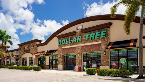The Best New Items Coming to Dollar Tree in 2023