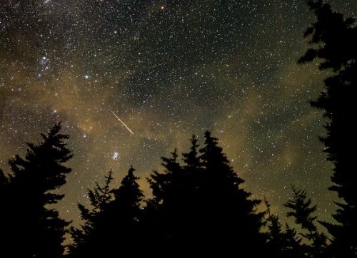 Perseid Meteor Shower Puts on a Show in the Sky