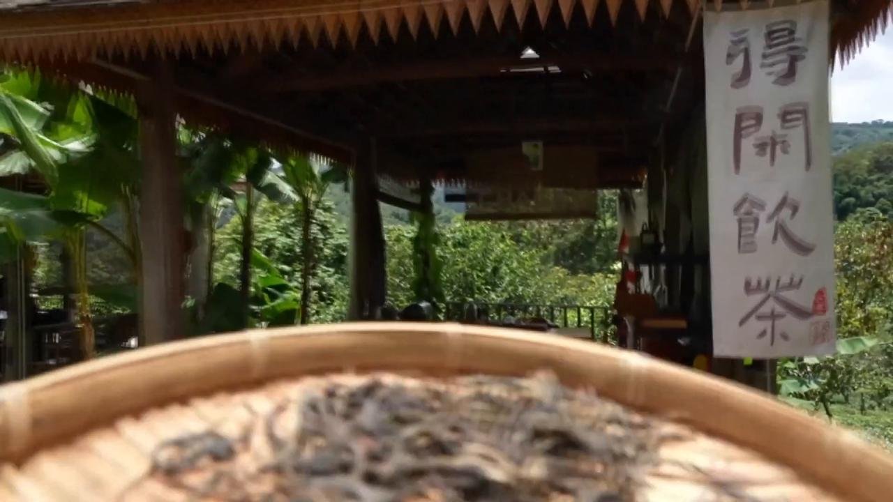 China: Tea industry turns a new leaf in southwest China's Yunnan.