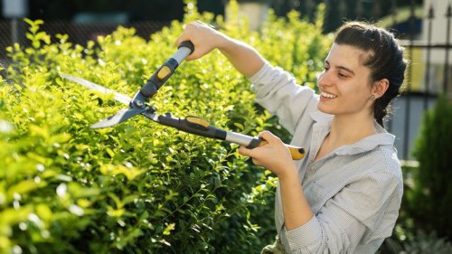 Sharpen garden shears with these tricks and tools