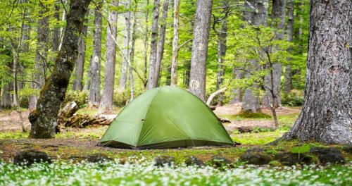 Avoid these camping mistakes at all costs