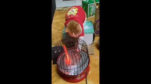 Clever Cat Pulls Heater Closer to Enjoy Warmth in Guangxi, China