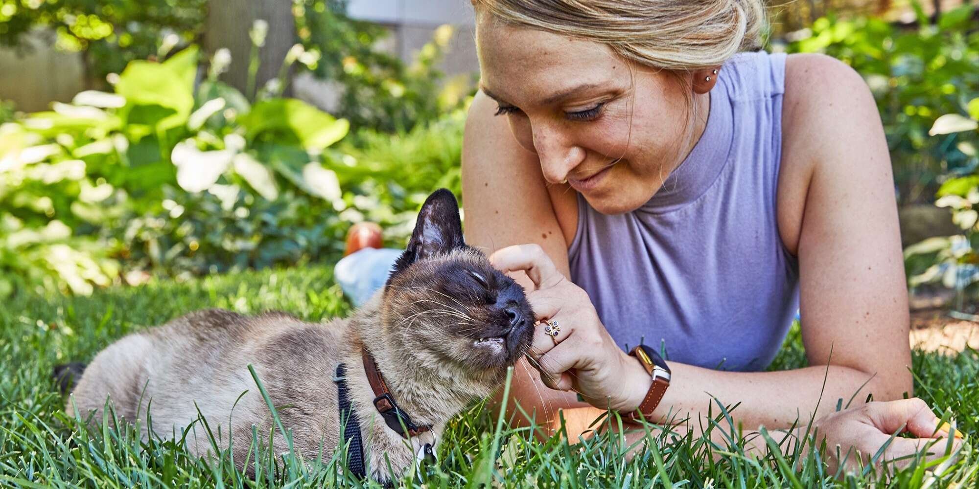 These Are the Cat Breeds Most Compatible With Your Zodiac Sign