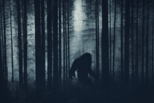 'Bigfoot' sighting video divides fans on whether the real Sasquatch was spotted