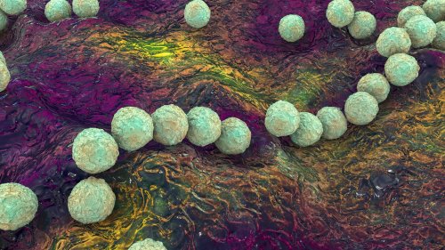 Flesh-eating vulva infections and more health news you need to know