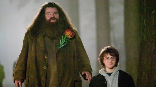 What House Was Hagrid In Before Harry Potter?