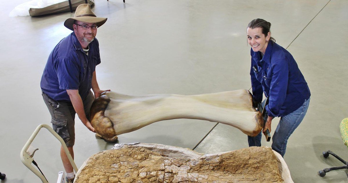 Behemoth 98-foot-long dinosaur confirmed to be largest ever found in Australia