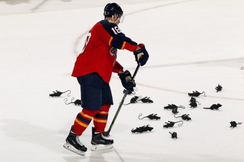 Bizarre story behind Florida Panthers throwing rats on the ice after every win