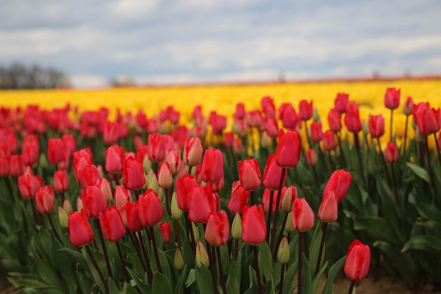 Where You Should Travel This Spring