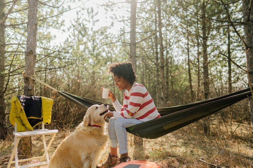 The ultimate guide to camping with your dog