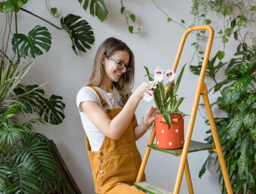 8 TIPS FOR CREATING THE PERFECT INDOOR GARDEN