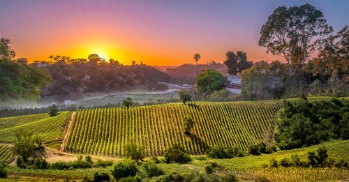 The Most Important California Cabernet Sauvignons Ever