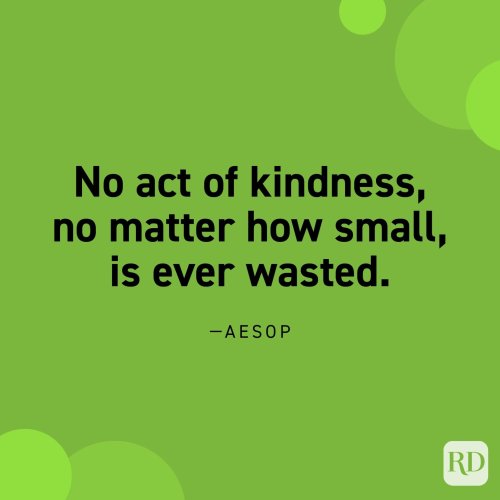 50 Powerful Kindness Quotes That Will Stay With You