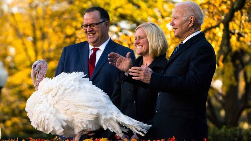 Why in the World Do U.S. Presidents Pardon Turkeys?