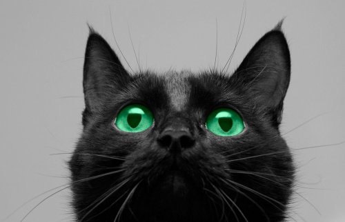 5 Superstitions With Oddly Rational Origins — Plus Other Strange Beliefs