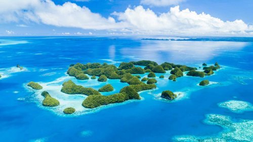 Tropical Vacations