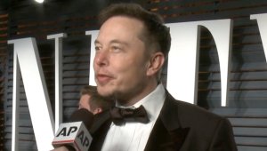 Elon Musk Offered to Buy Flight Attendant a Horse in Exchange for an ‘Erotic Massage’