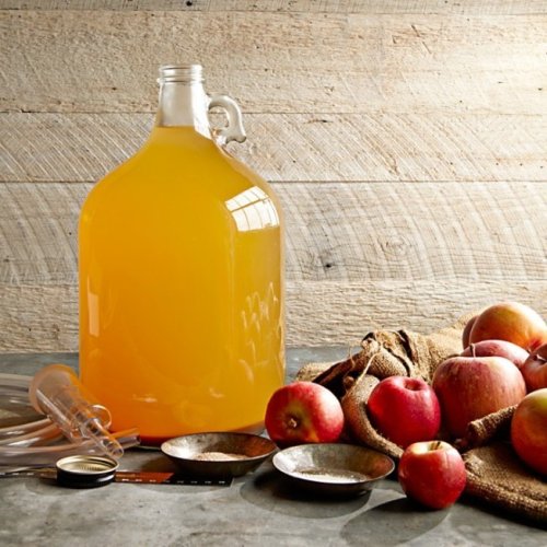DIY Apple Cider - Williams-Sonoma Taste