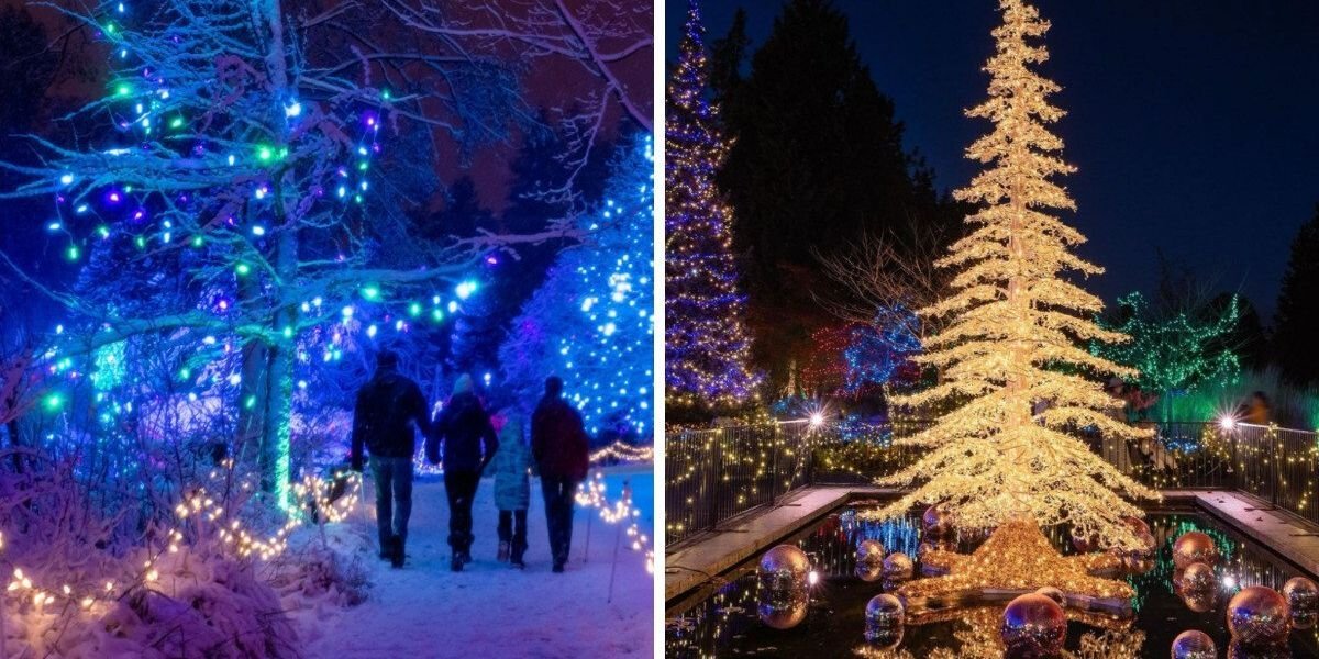Magical Christmas Themed Things To Do In Canada