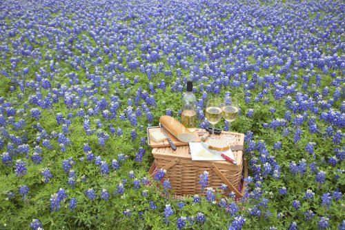 Road-tripping through Hill Country: Texas’ up-and-coming vineyards - Lonely Planet